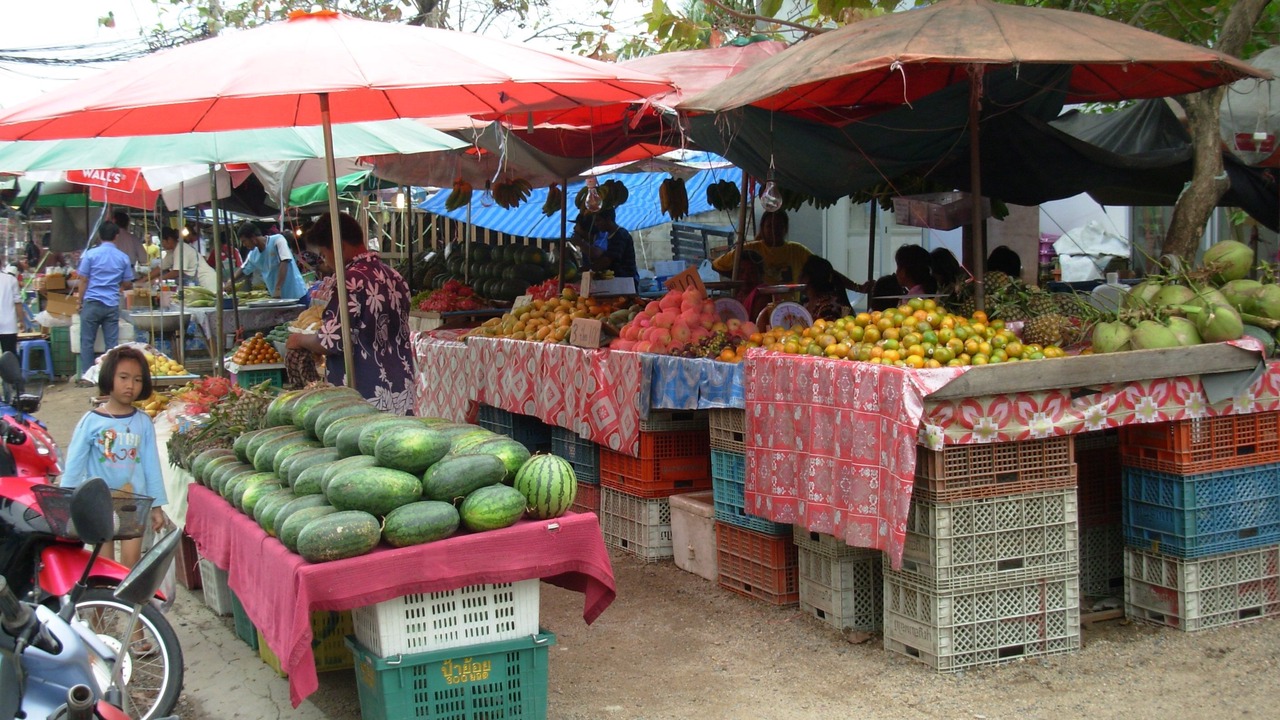 Photo of Others in Plai Laem