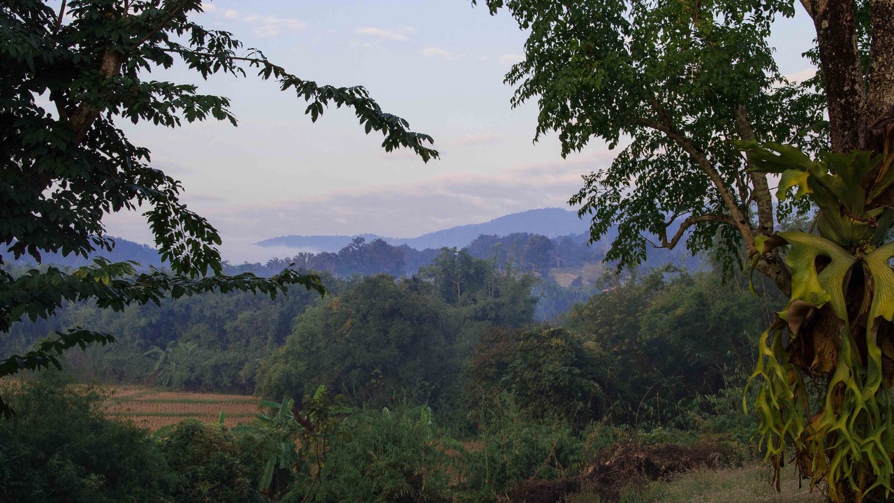 Photo of Others in Nang Lae
