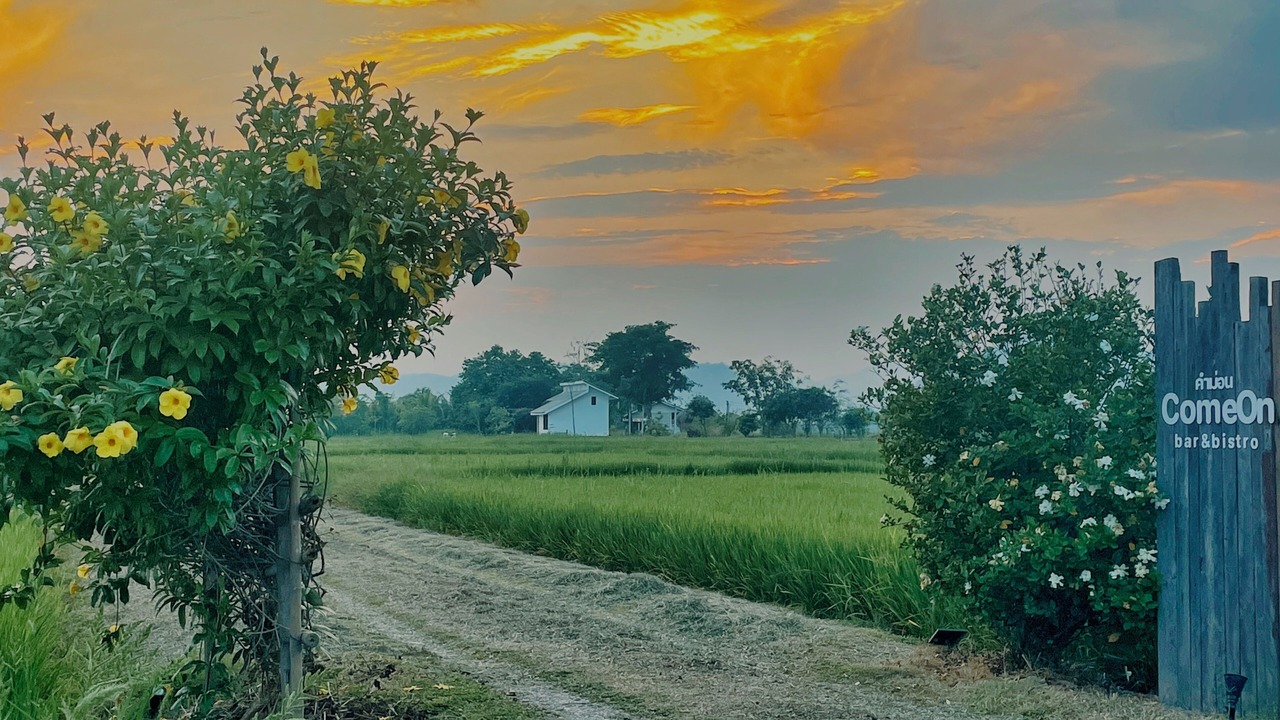 Photo of Outdoor in Mae Chan