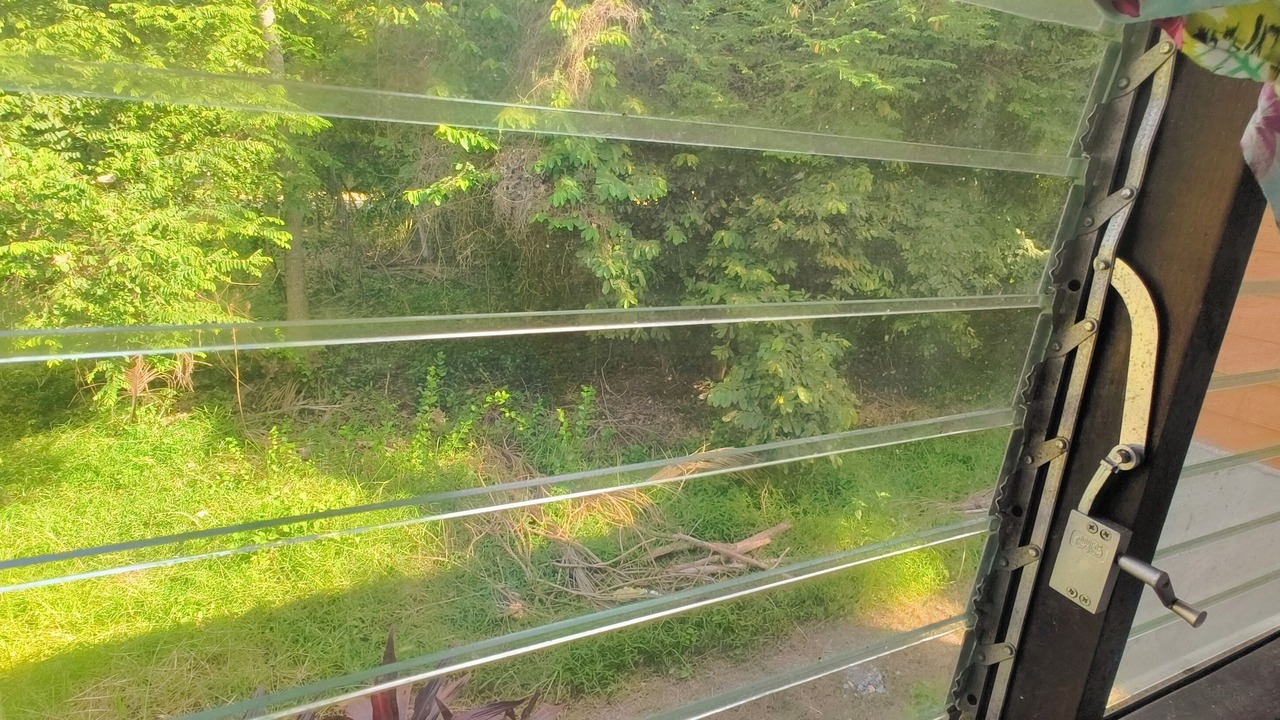 Photo of Others in Thong Sala