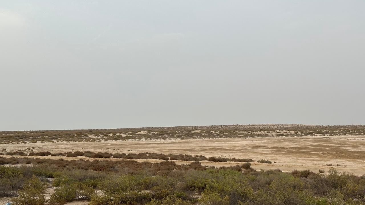 Photo of Others in Umm al Quwain