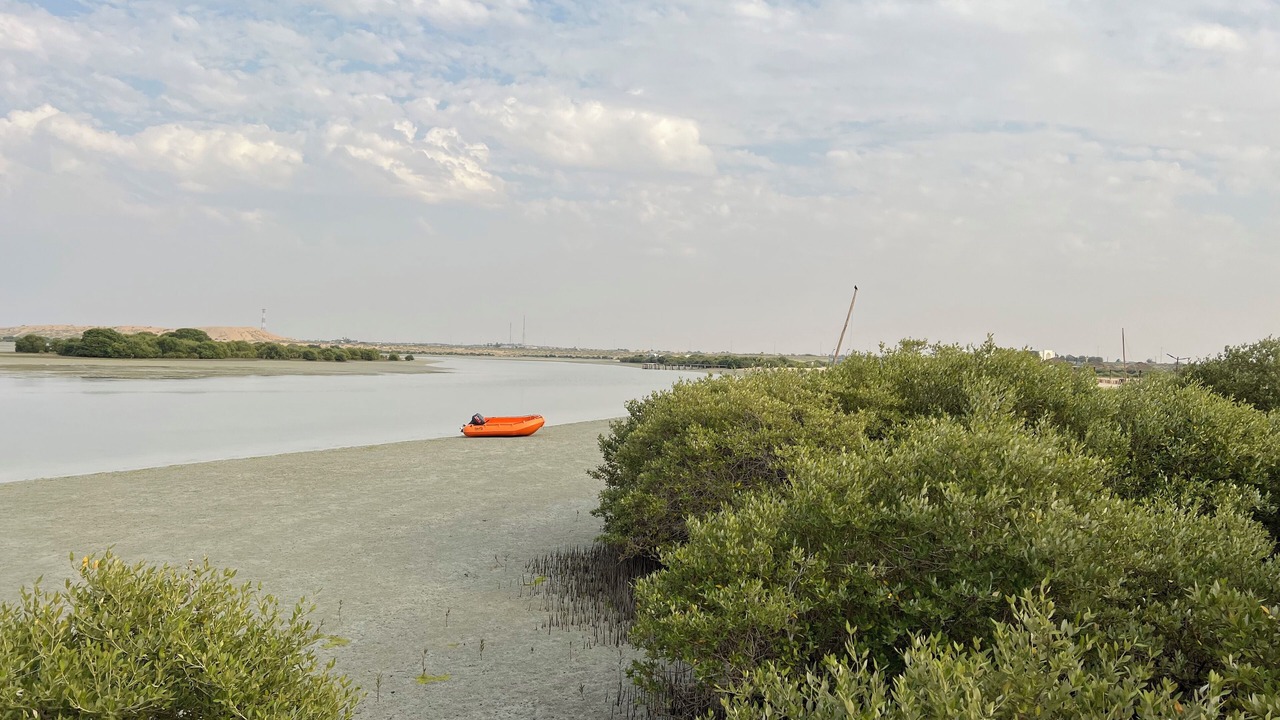 Photo of Others in Umm al Quwain
