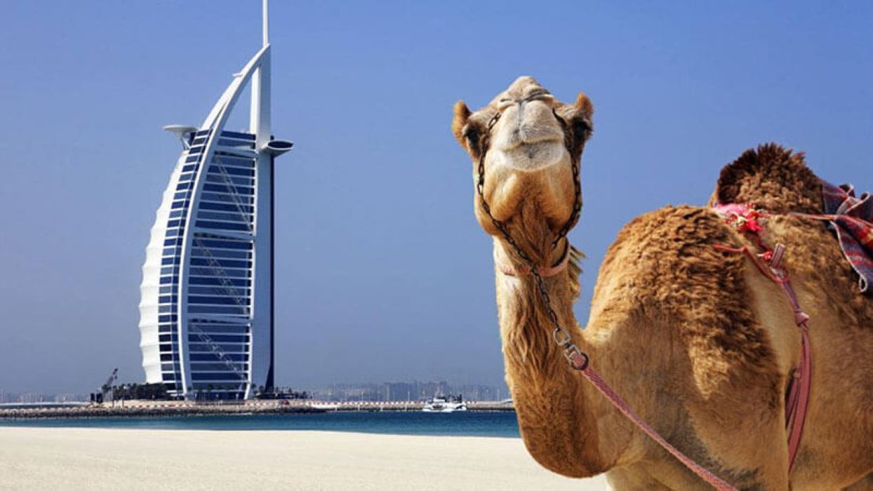 Photo of Others in Dubai Media City