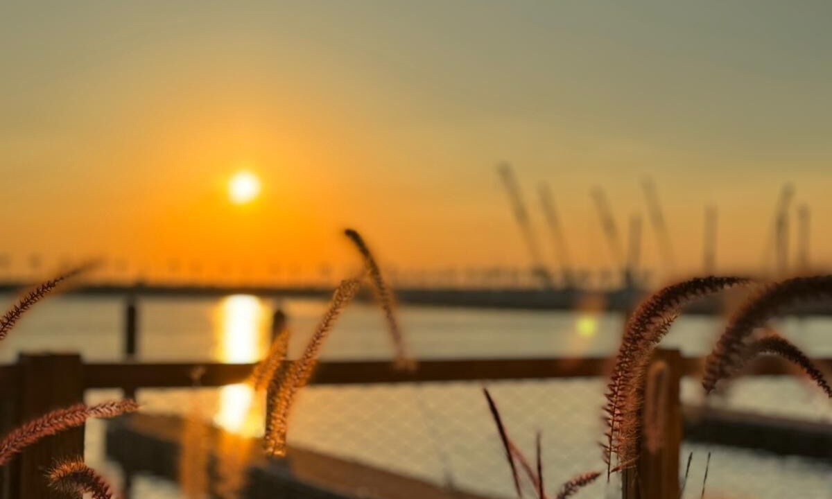 Photo of Outdoor in Jumeirah