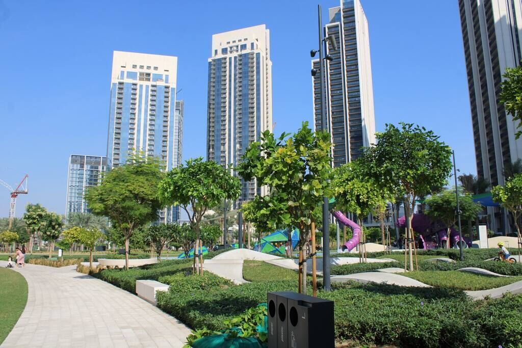 Photo of Others in Dubai