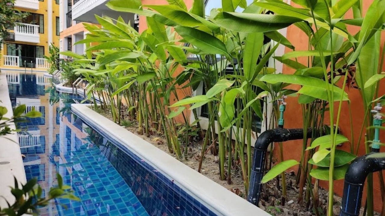 Photo of Outdoor in Na Chom Thian