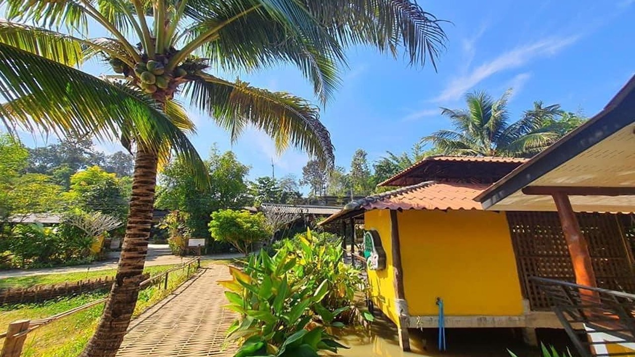 Photo of Outdoor in Chiang Dao