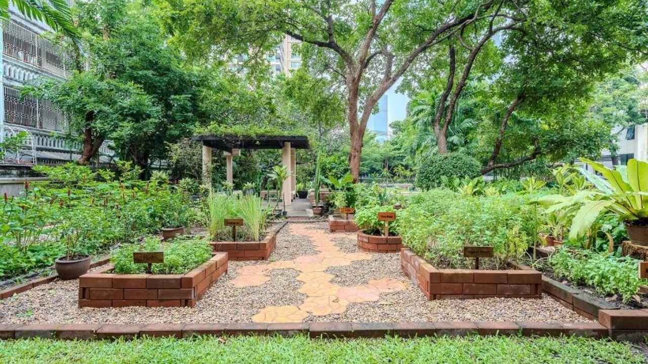 Photo of Outdoor in Thung Maha Mek