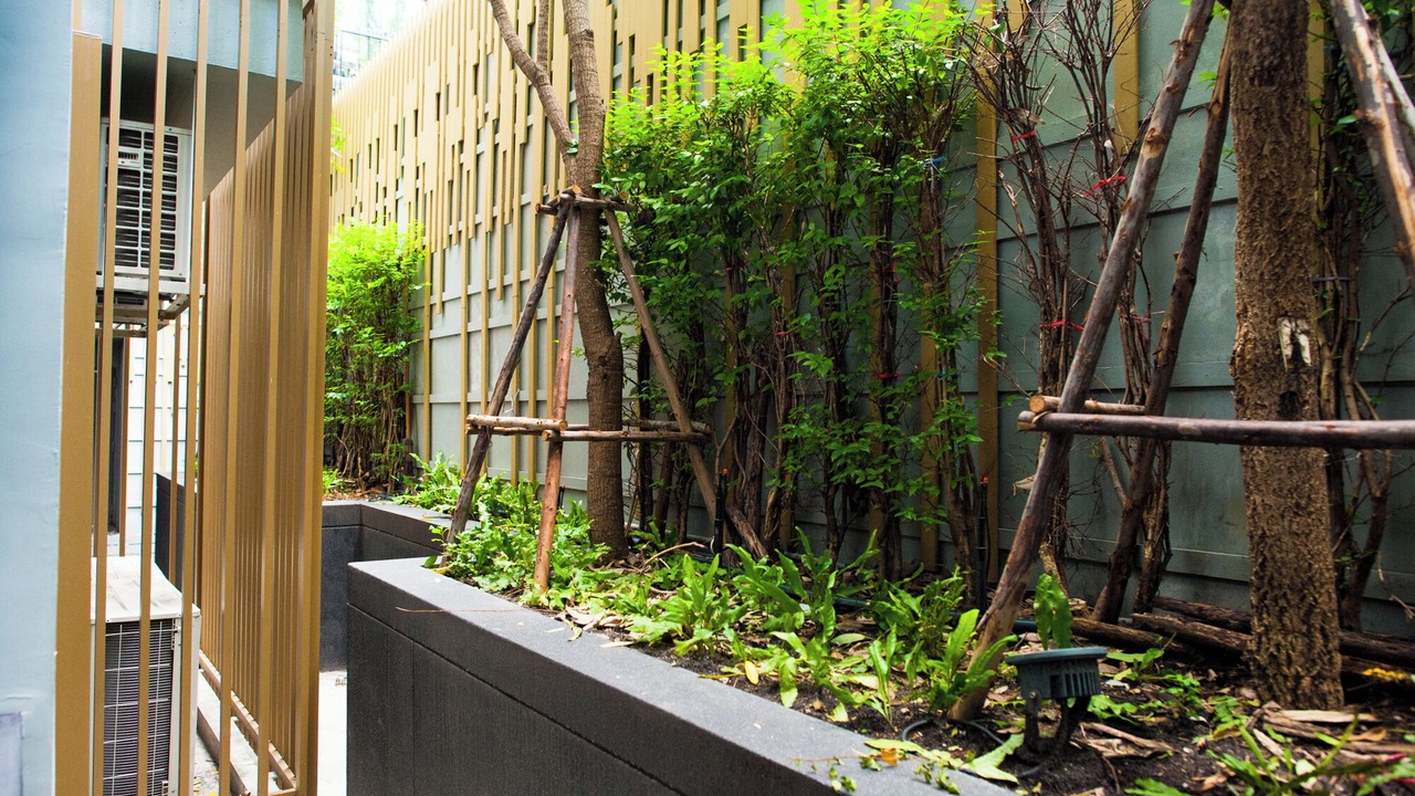 Photo of Outdoor in Silom