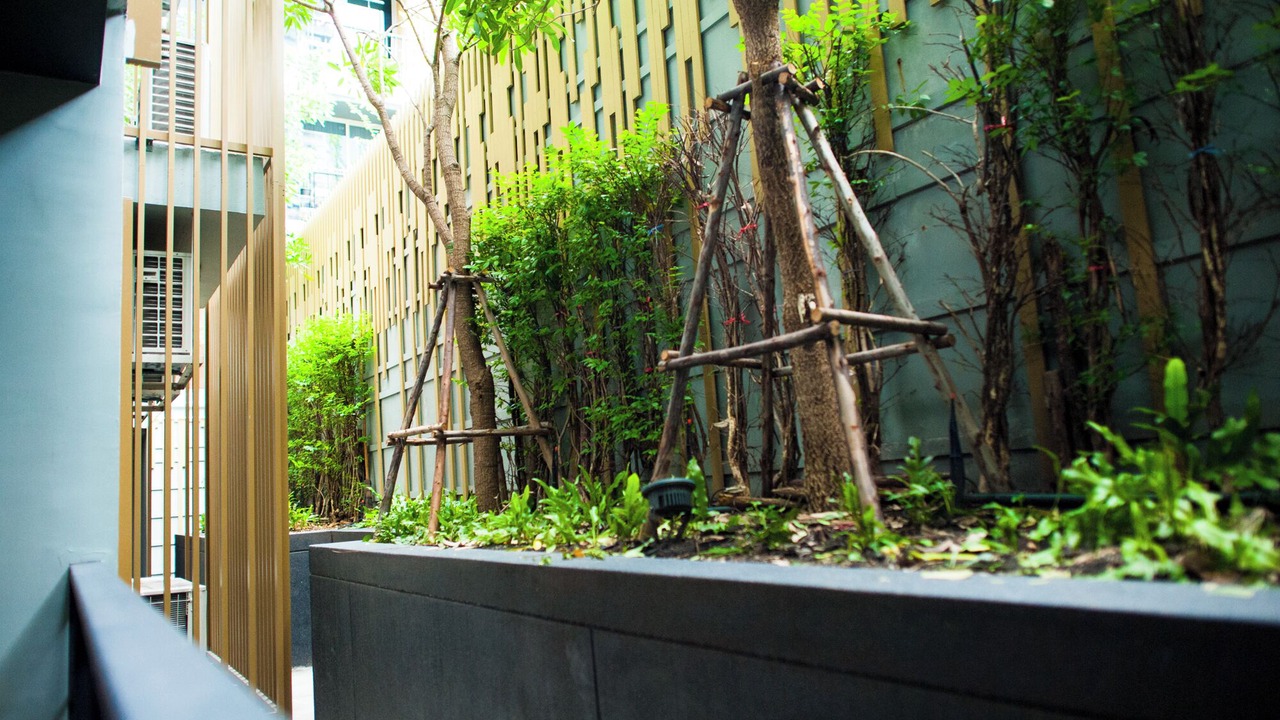 Photo of Outdoor in Silom