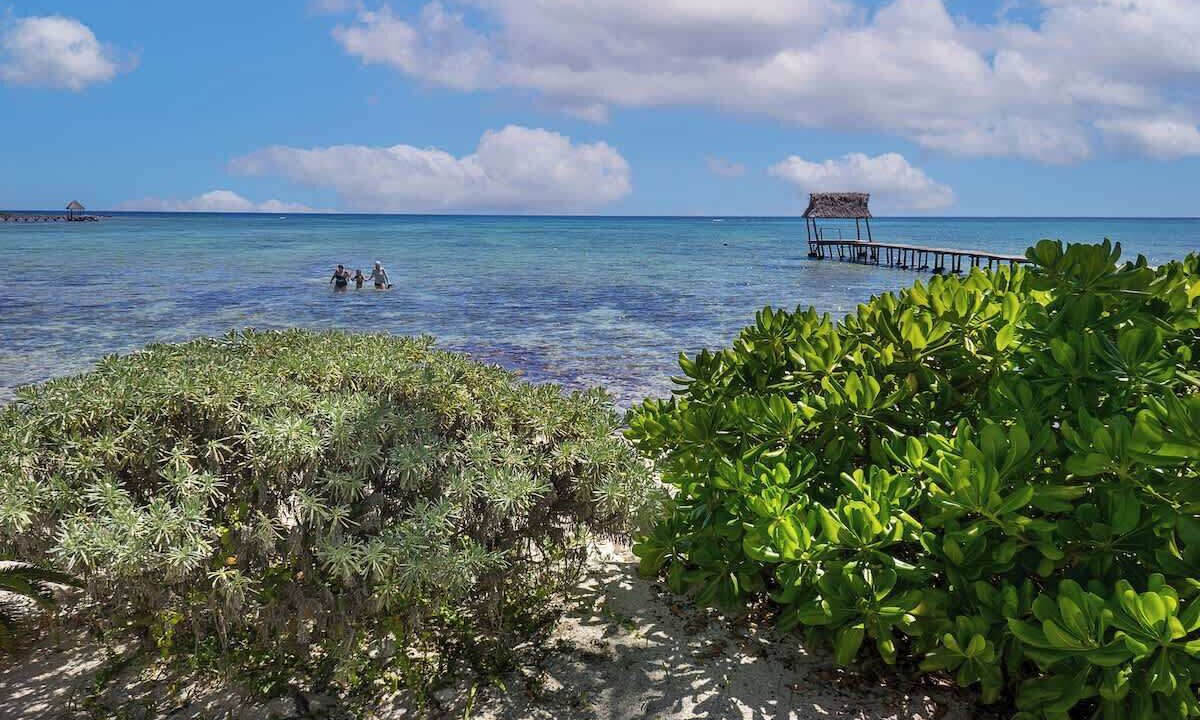 Photo of Others in Tulsayab