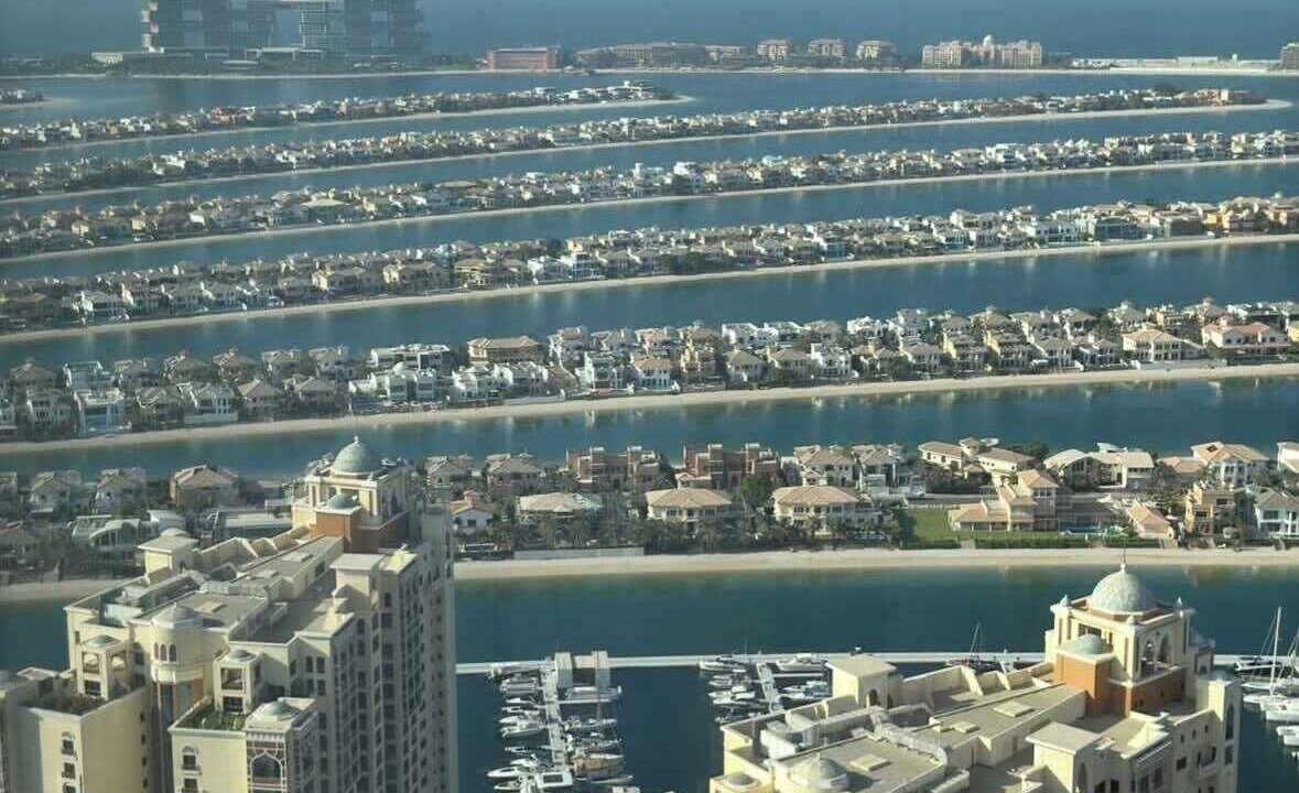 Photo of Others in Al Safa