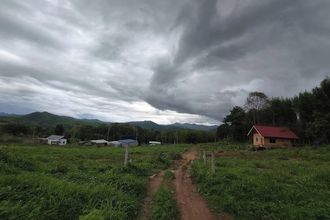 Photo of Others in Pai