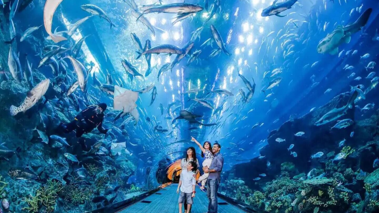 Photo of Others in Dubai Sports City