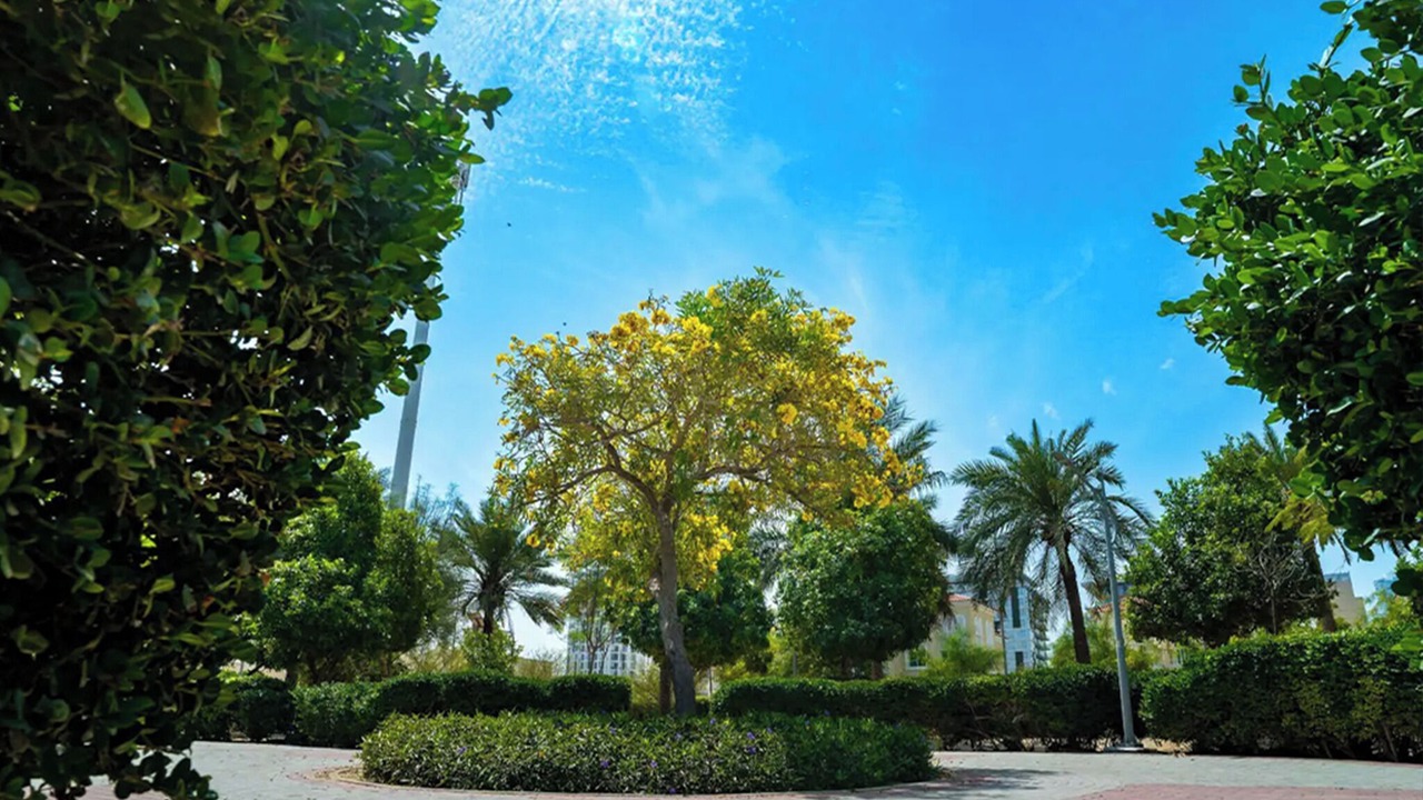 Photo of Others in Jumeirah Village Circle
