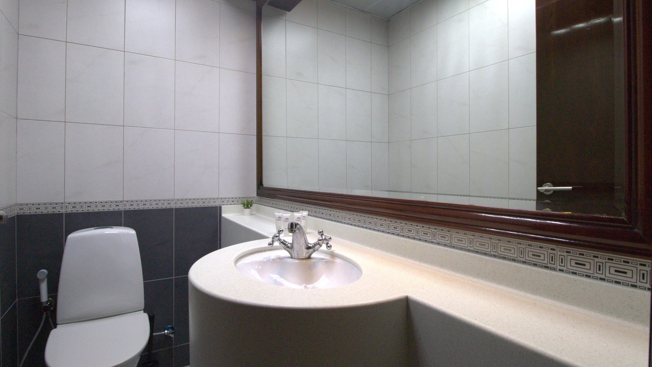 Photo of Bathroom in Jebel Ali