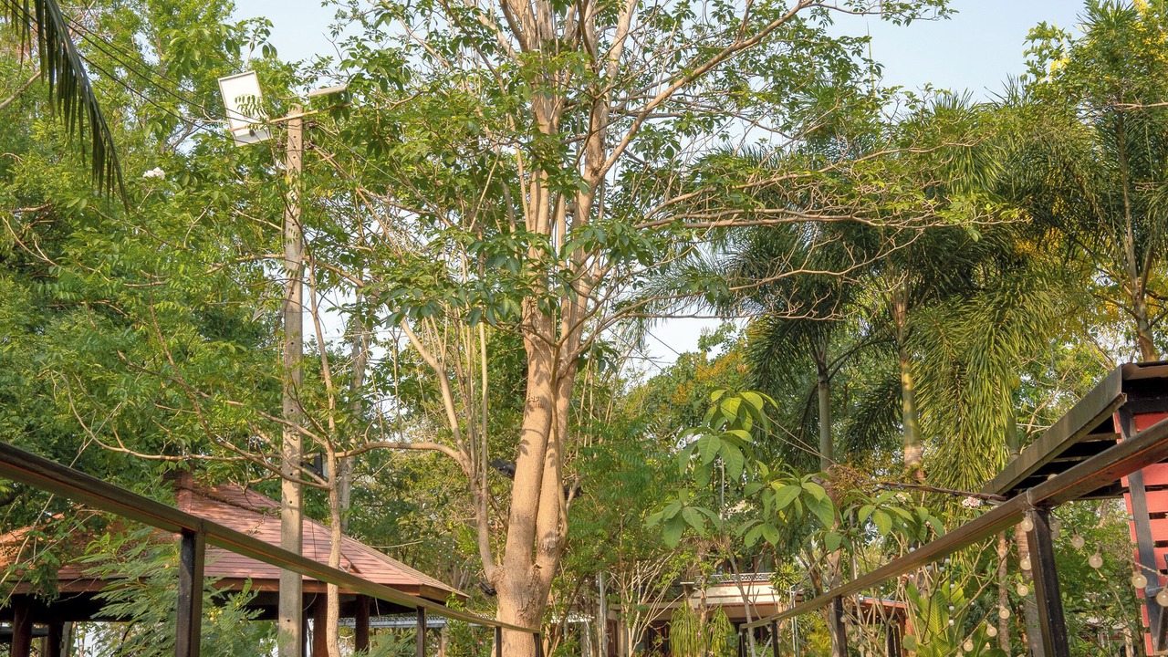 Photo of Outdoor in Ban Pong