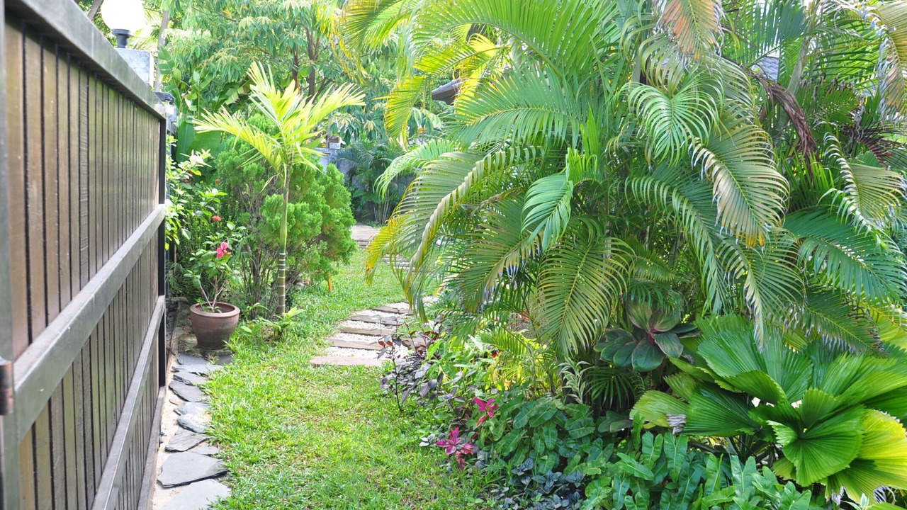 Photo of Outdoor in Ko Lanta