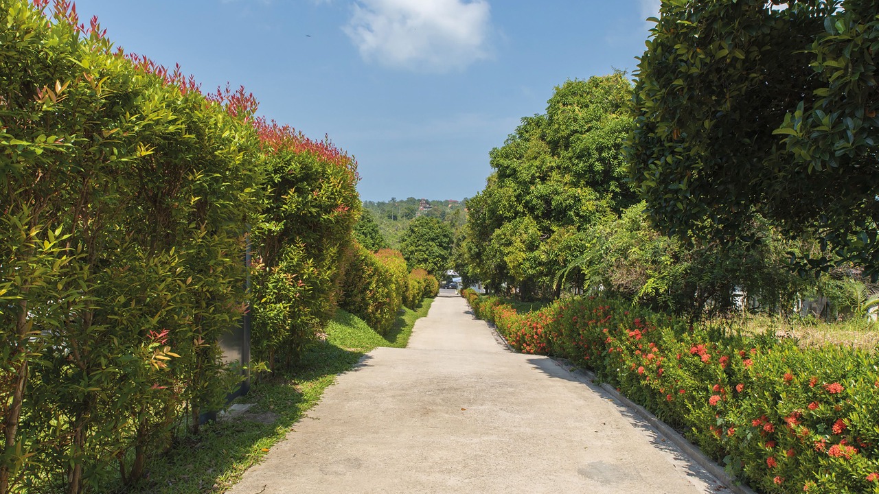 Photo of Outdoor in Choeng Mon