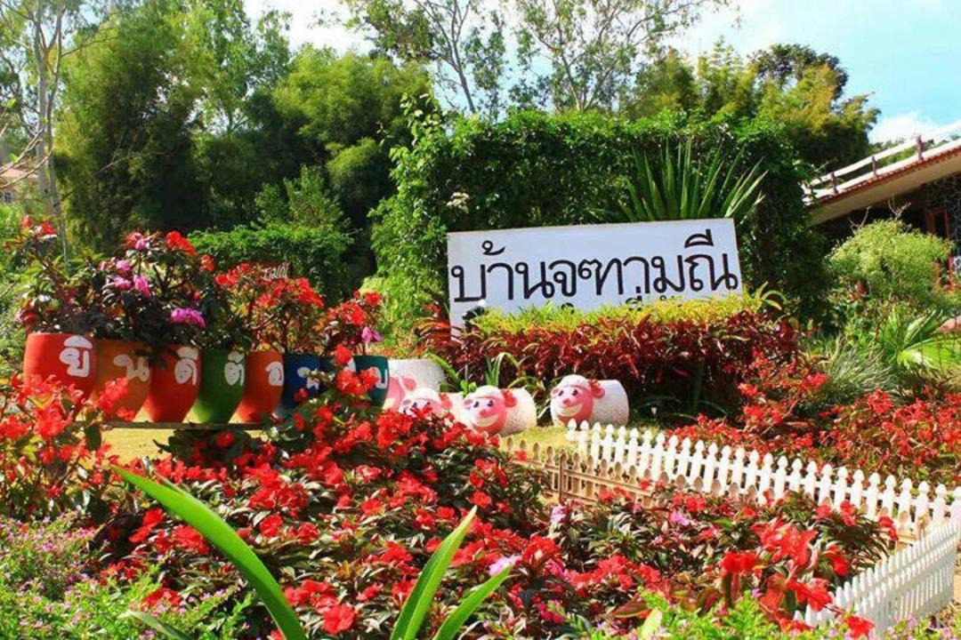 Photo of Outdoor in Sado Phong