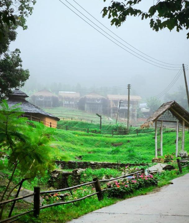 Photo of Others in Doi Lo