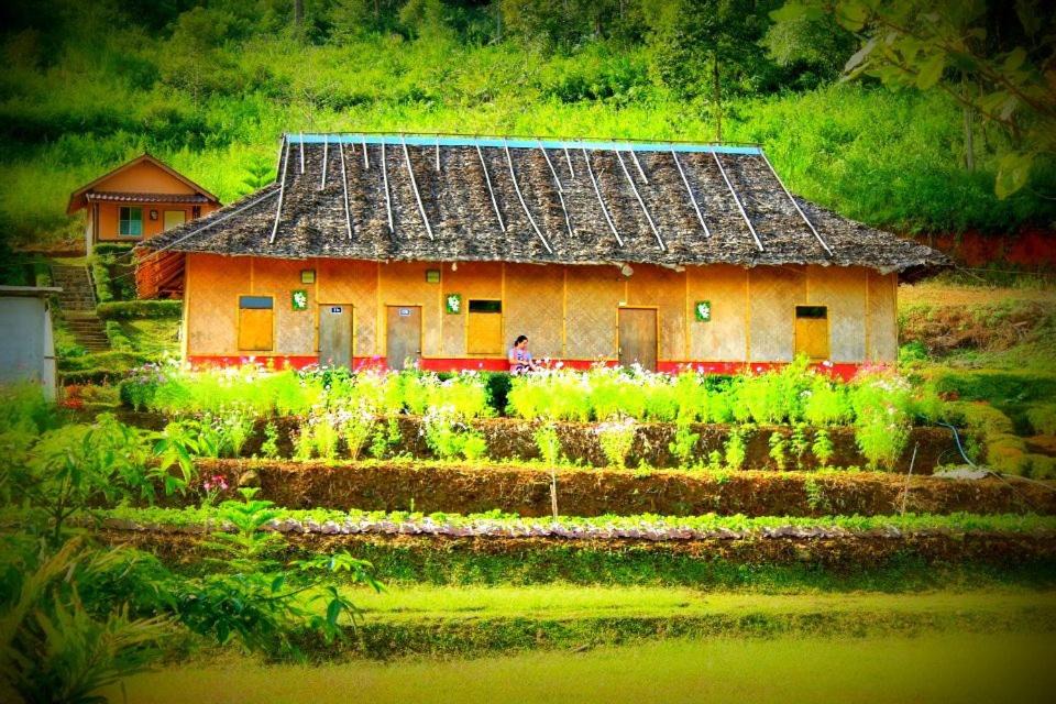 Photo of Others in Huai Makhuea Som