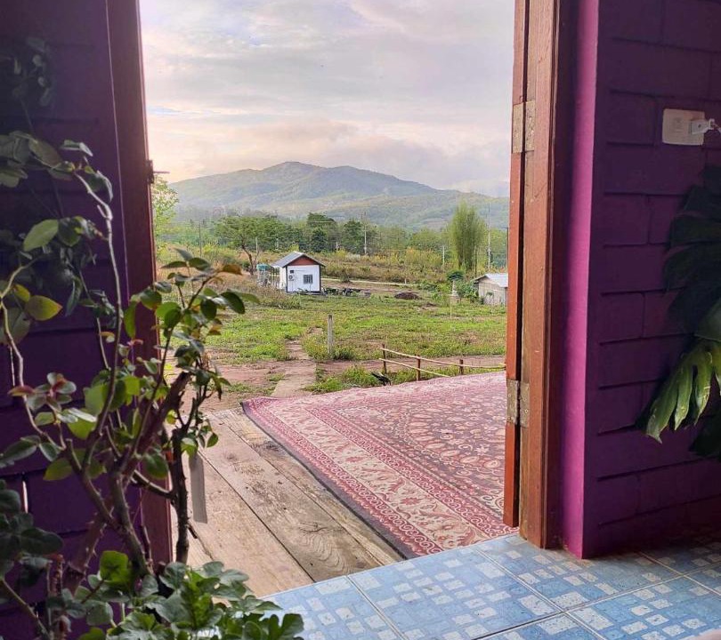 Photo of Others in Pai