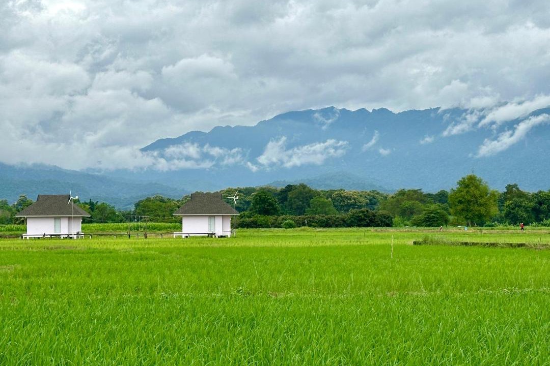Photo of Others in Chiang Dao