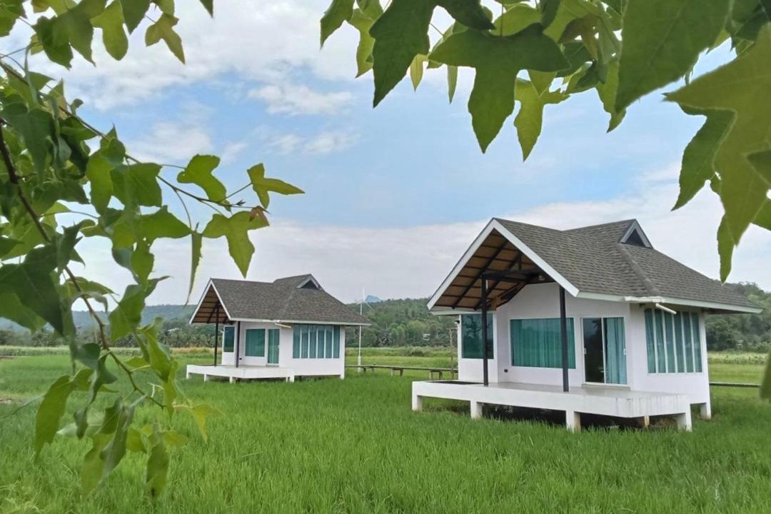 Photo of Others in Chiang Dao