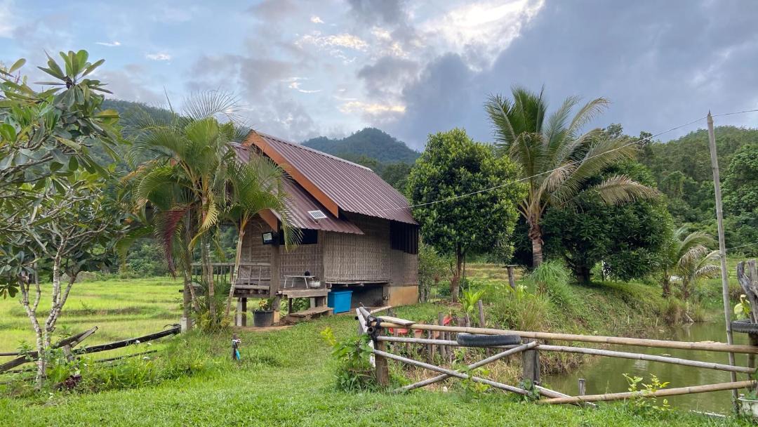 Photo of Others in Pai