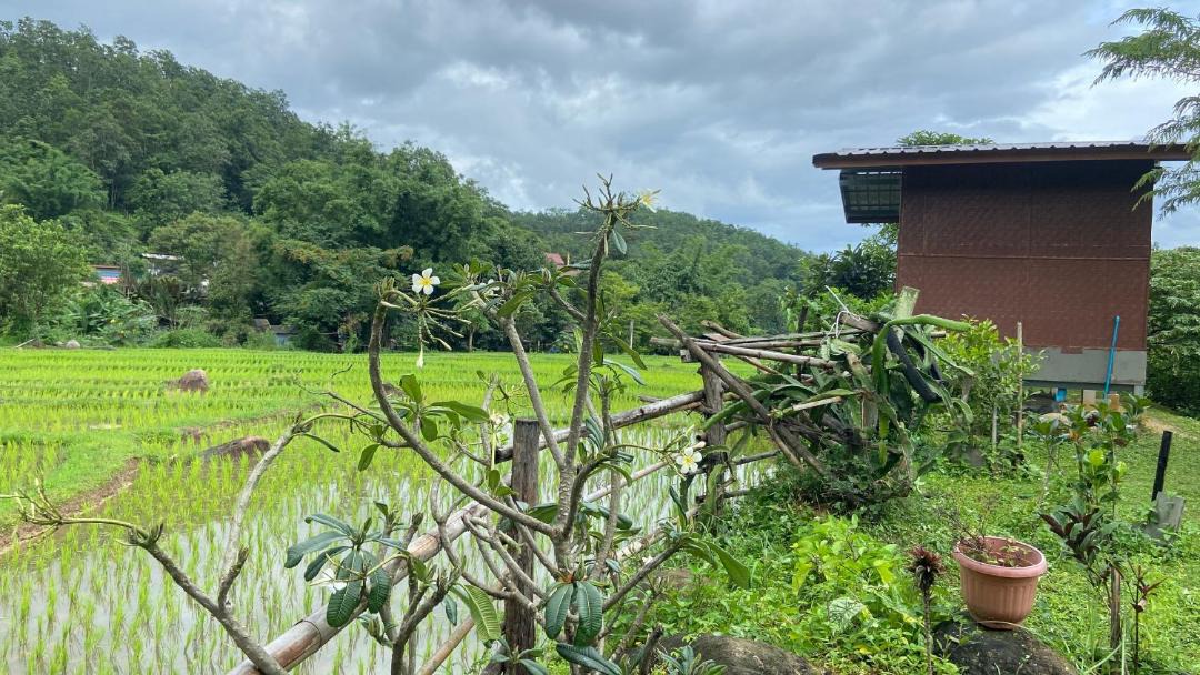 Photo of Others in Pai