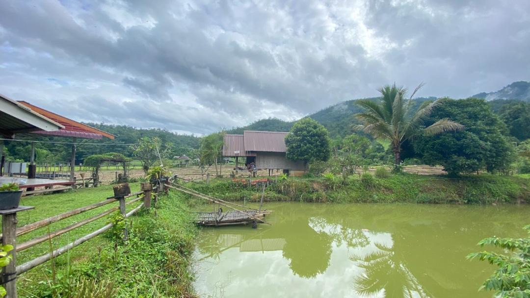 Photo of Others in Pai