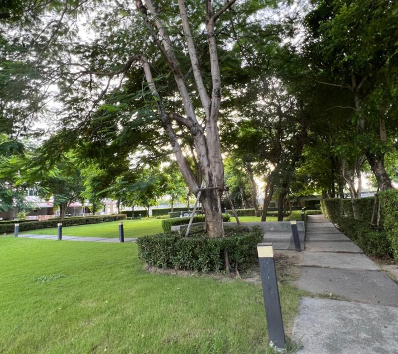 Photo of Outdoor in Tha Raeng