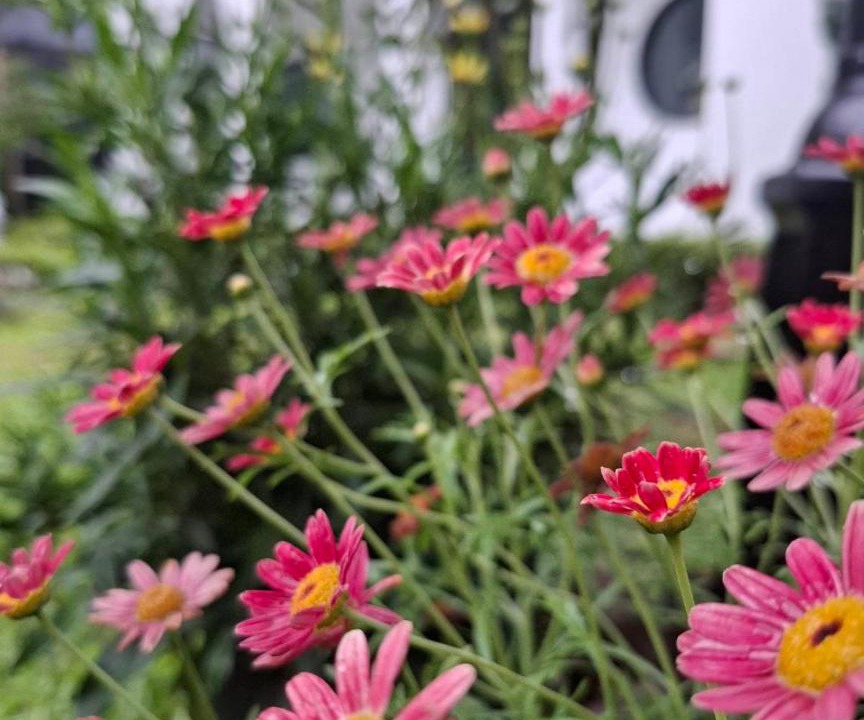 Photo of Outdoor in Chiang Dao