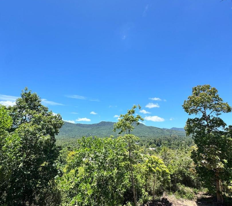Photo of Outdoor in Wok Tum