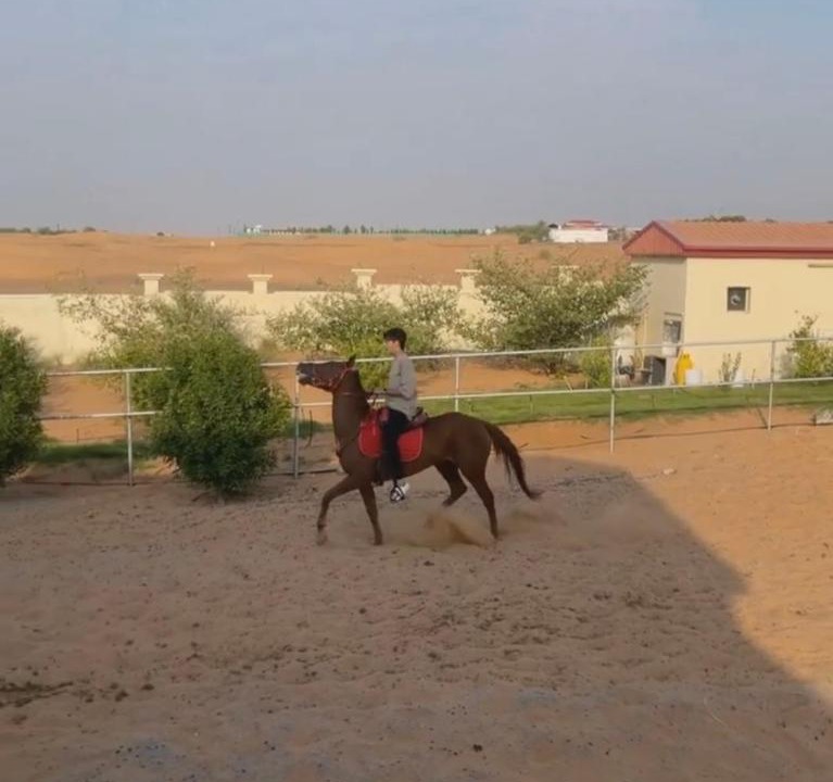 Photo of Others in Sharjah