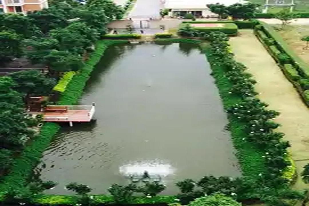 Photo of Others in Khanna Yao