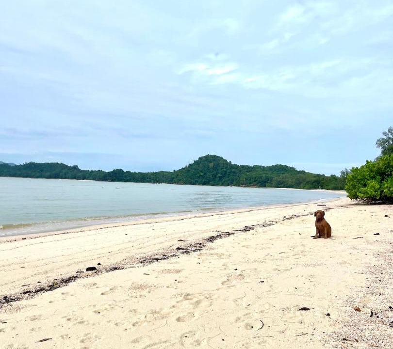 Photo of Others in Ranong