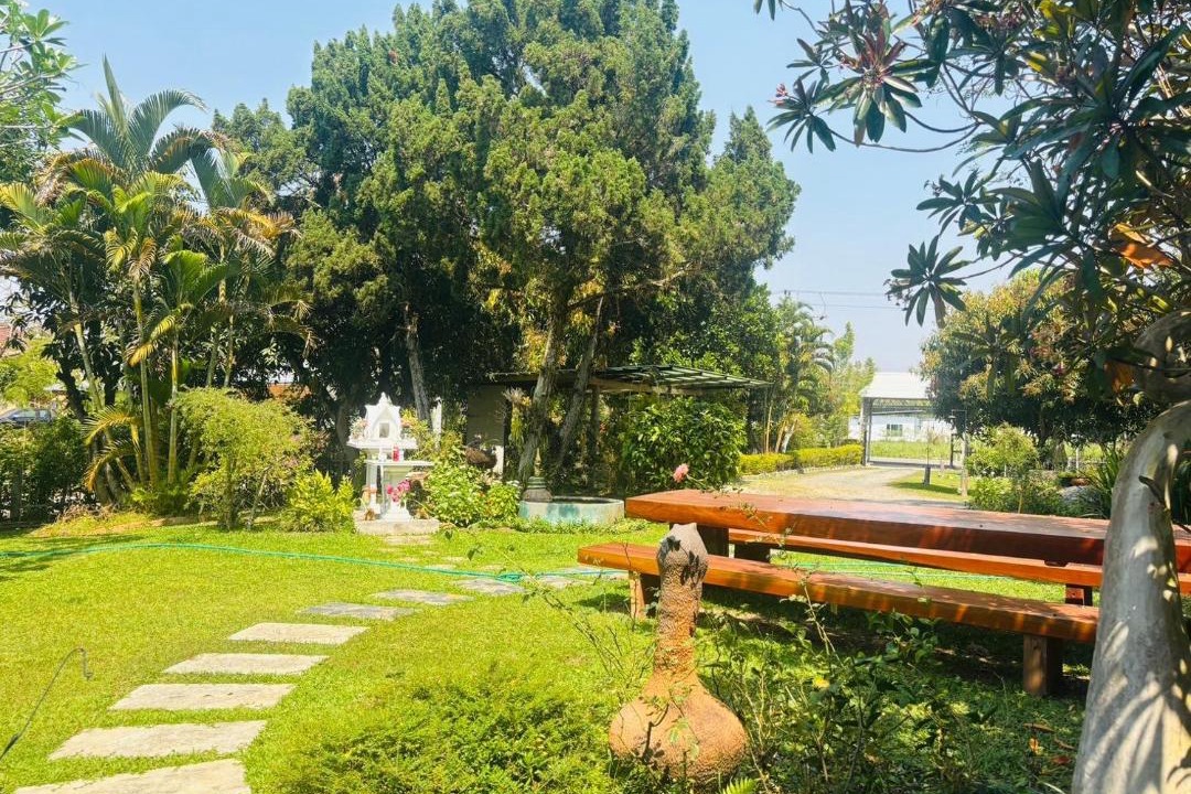 Photo of Others in San Sai