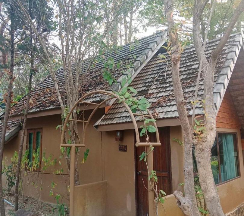 Photo of Others in Pai