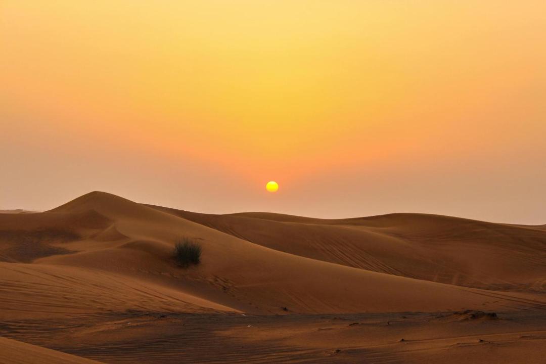 Photo of Others in Sharjah