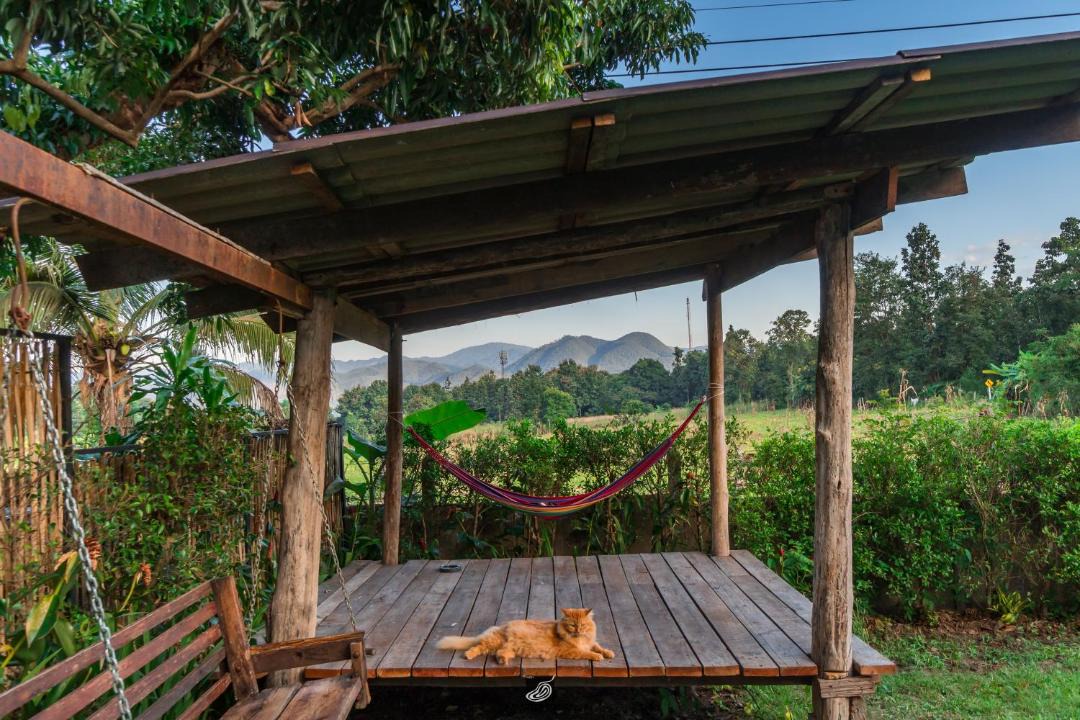 Photo of Others in Pai