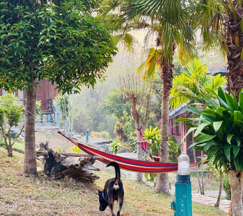 Photo of Outdoor in Mae Hi