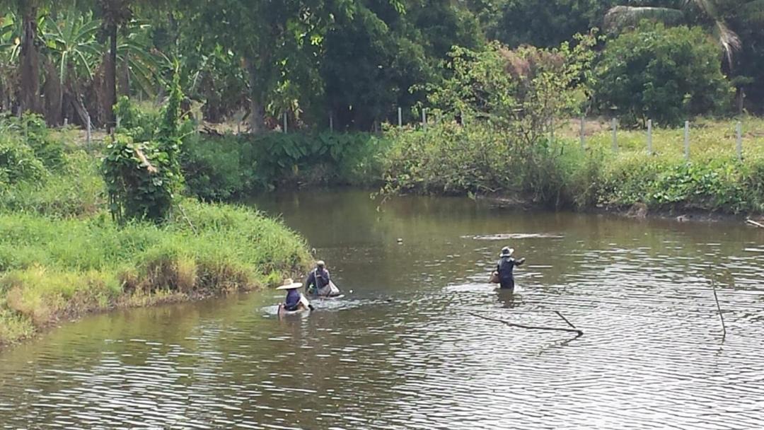 Photo of Others in Mae Pong
