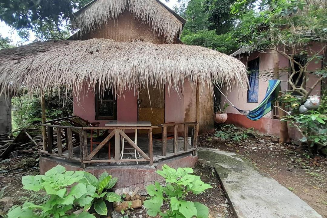 Photo of Others in Bai Lan