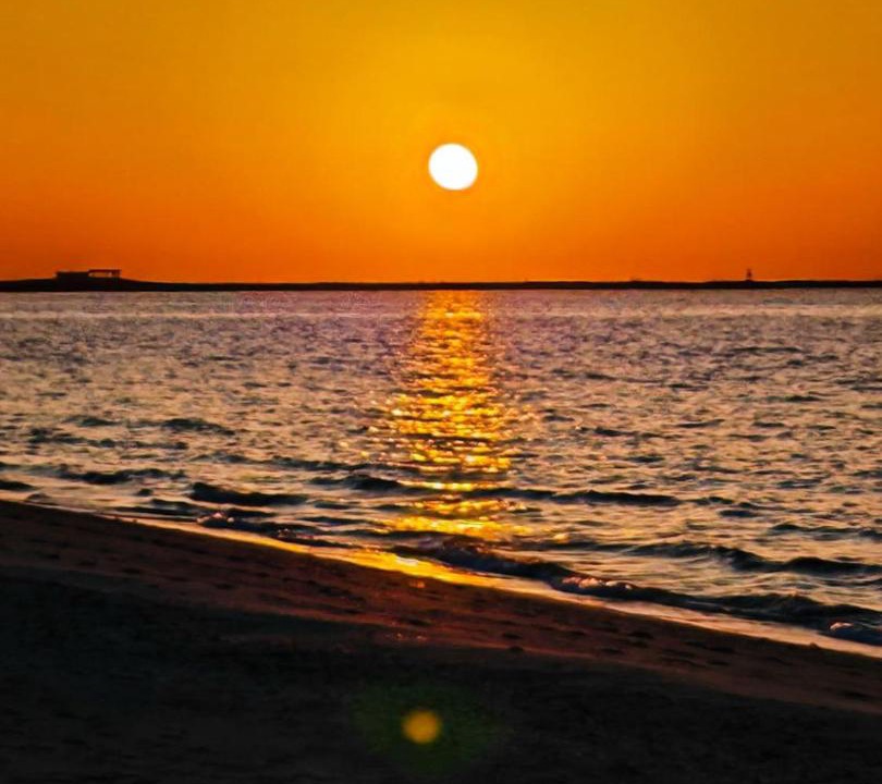 Photo of Others in Ajman