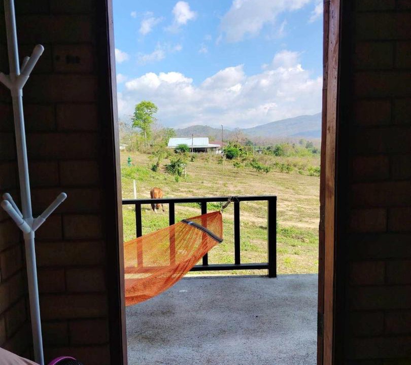 Photo of Others in Pai