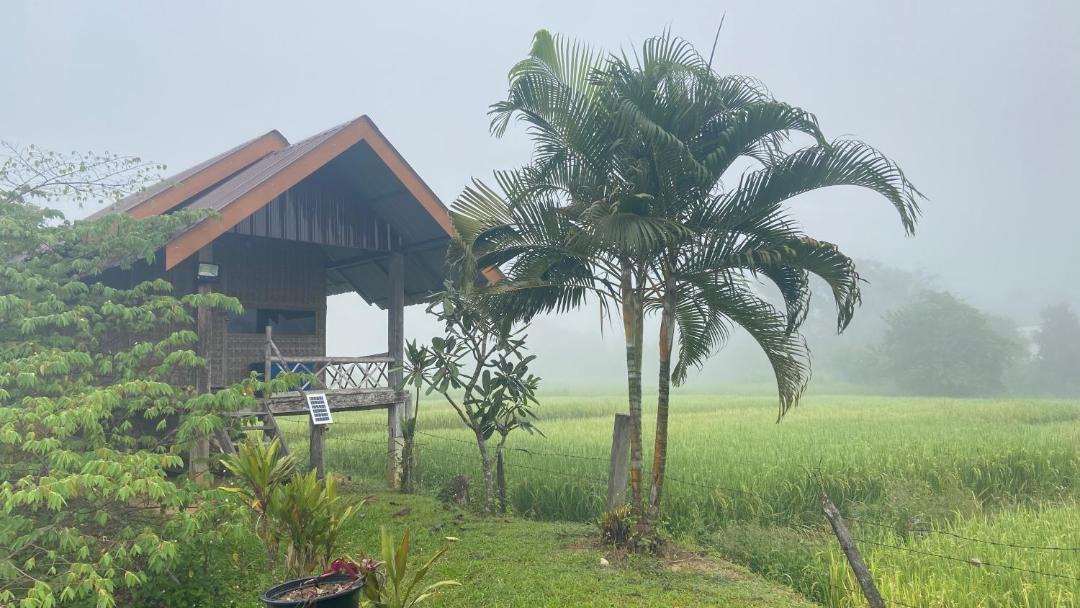 Photo of Others in Pai