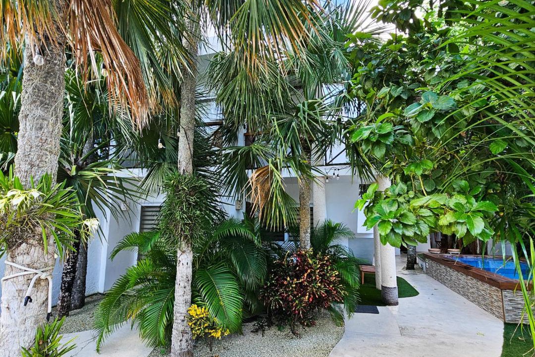 Photo of Others in Colonia Centro