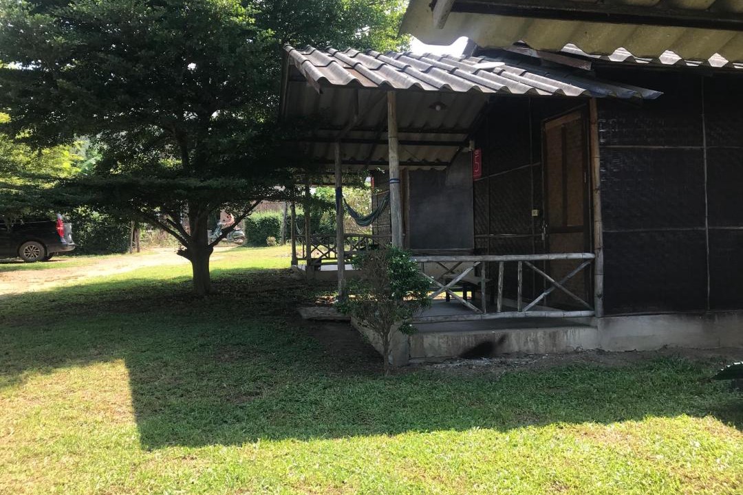 Photo of Others in Pai